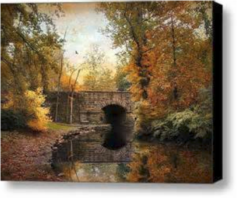 Steve_hall_Autumn_2013_photo