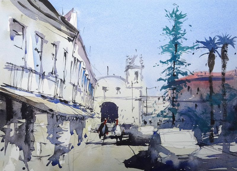 Scraggy pine tree Praca Dr Antonio Padinha Scraggy pine tree Praca Dr Antonio Padinha