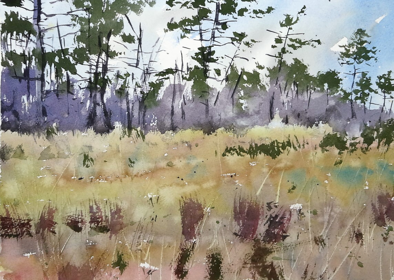 Across the field to the forest Across the field to the forest