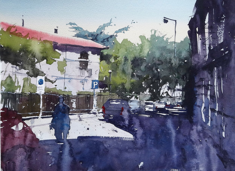 Blue cedar on the Lido