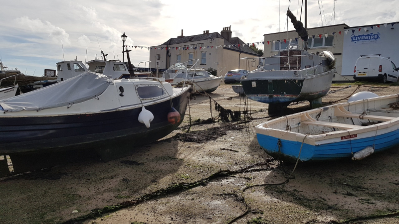 July 2019 photo subject for tim wilmot watercolor workshop