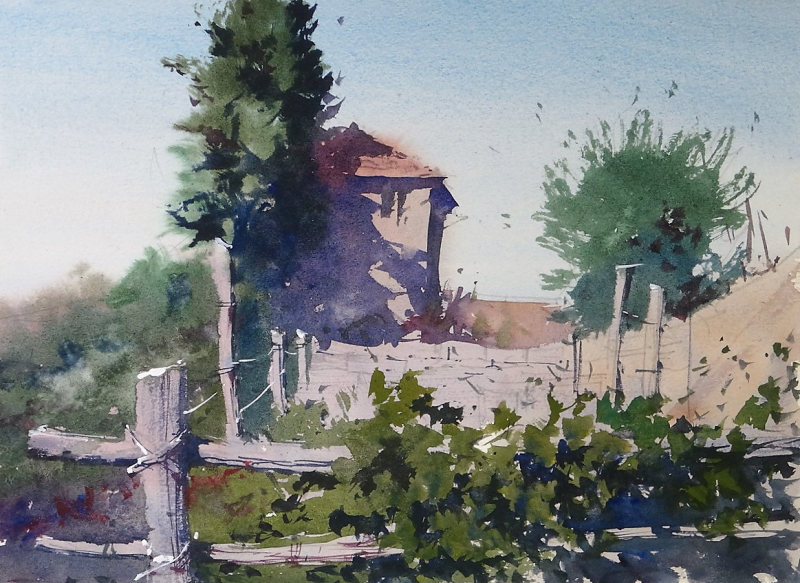 Old Vineyard Monte dei Bianchi