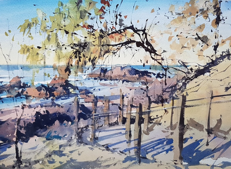 Port Macquarie coastal walk