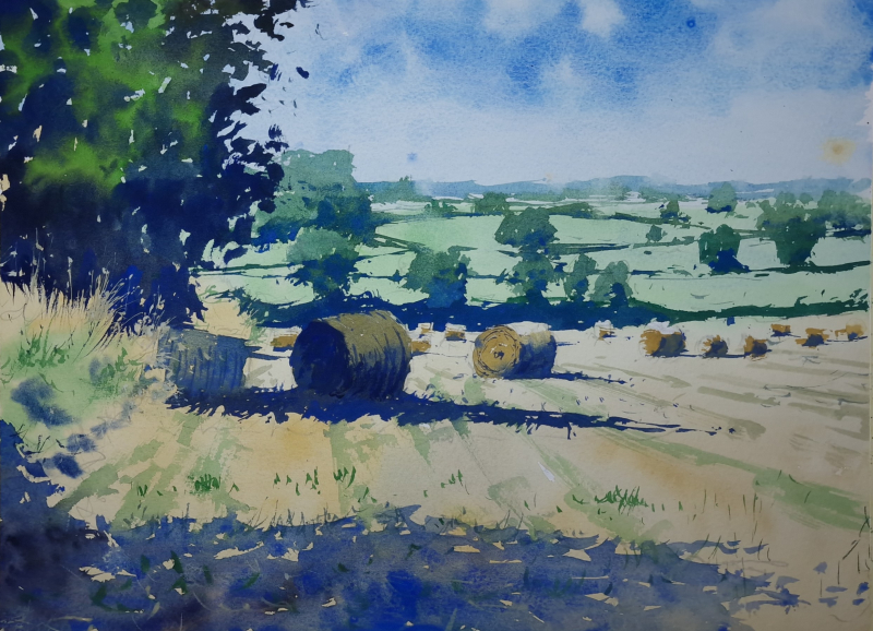 Hay Bales and Fields Dodington