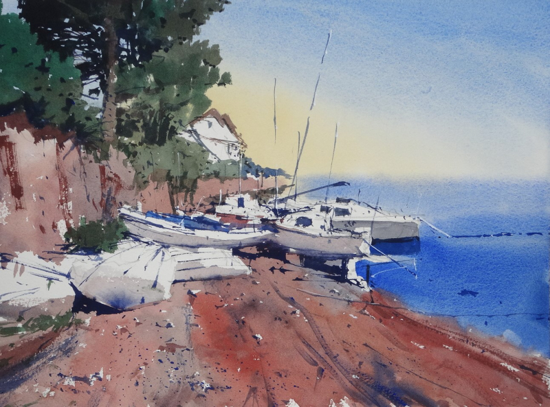 Sunny Banks ot the River Tamar