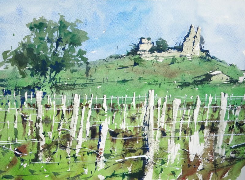 Vineyard Lines Chateau de Gurson France
