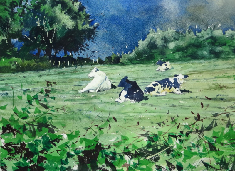 Cows beyond the Hedgerows 