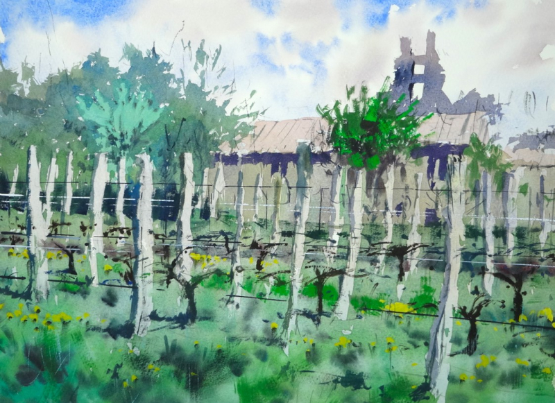 Oak Vineyard Posts Chateau de Gurson