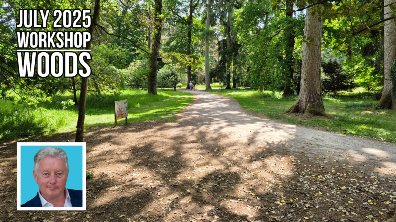 July 2025 public workshop July 2025 public workshop