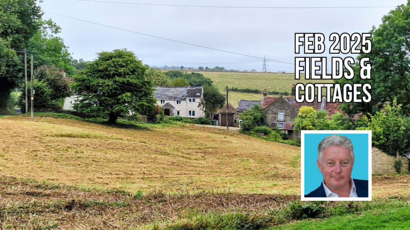 Feb 2025 public workshop