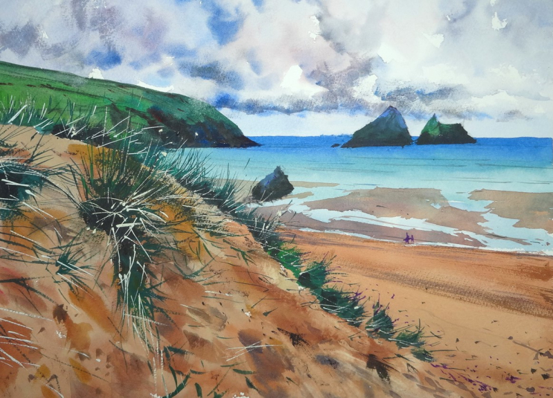 Marram Grass and Sand Dunes  Holywell Bay  Cornwall