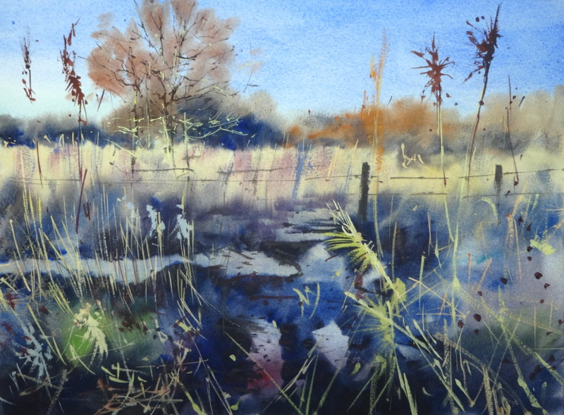 The Marsh at Surlingham